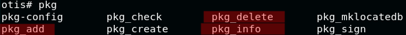 OpenBSD pkg commands picture